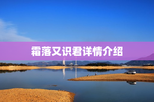 霜落又识君详情介绍