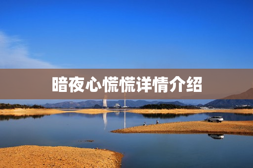 暗夜心慌慌详情介绍