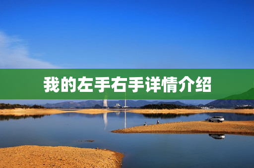 我的左手右手详情介绍