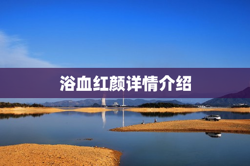 浴血红颜详情介绍