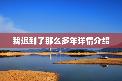 我迟到了那么多年详情介绍