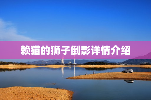 赖猫的狮子倒影详情介绍