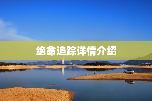 绝命追踪详情介绍