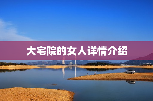 大宅院的女人详情介绍