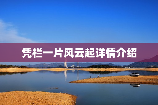 凭栏一片风云起详情介绍