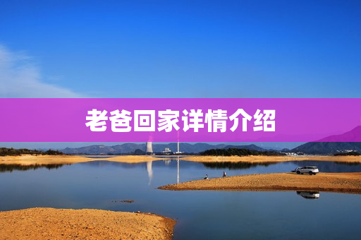 老爸回家详情介绍