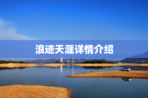 浪迹天涯详情介绍