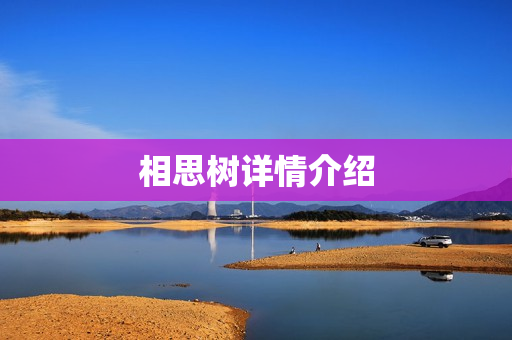 相思树详情介绍