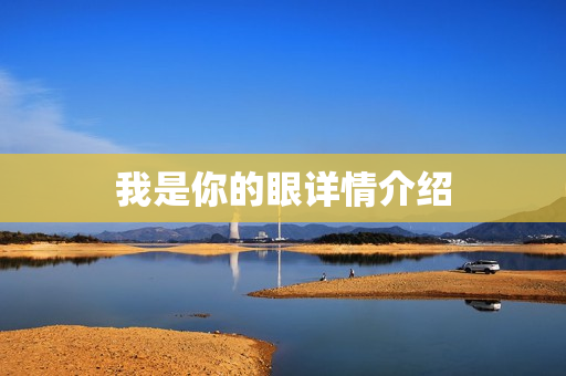 我是你的眼详情介绍