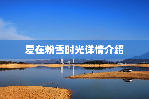 爱在粉雪时光详情介绍