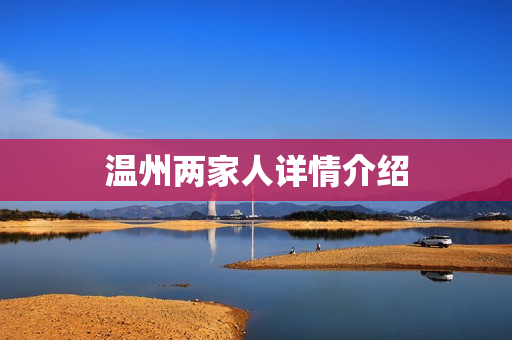 温州两家人详情介绍