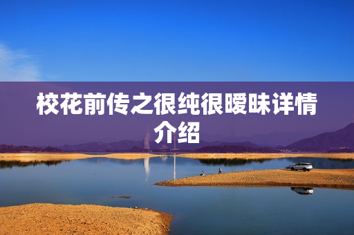 校花前传之很纯很暧昧详情介绍