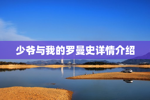 少爷与我的罗曼史详情介绍