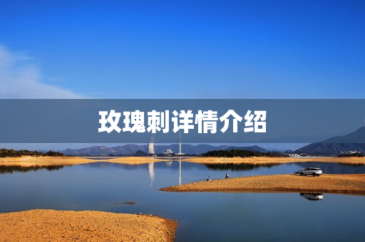 玫瑰刺详情介绍