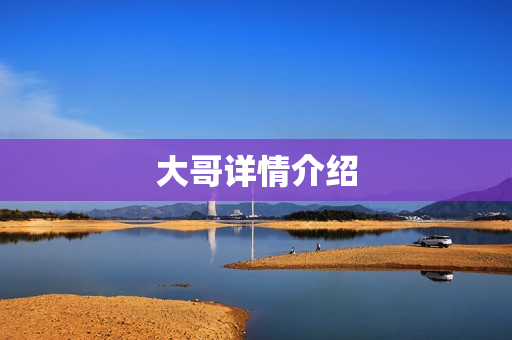 大哥详情介绍
