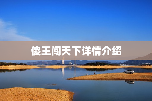傻王闯天下详情介绍