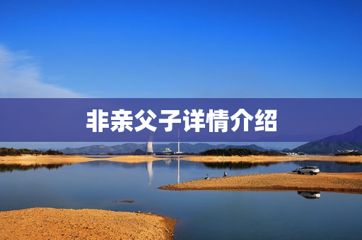 非亲父子详情介绍
