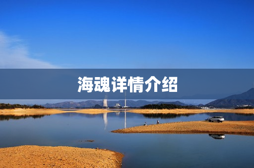 海魂详情介绍