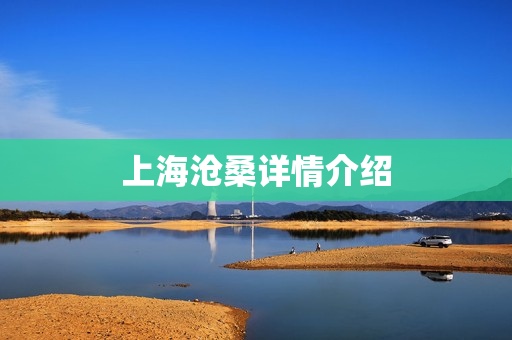 上海沧桑详情介绍
