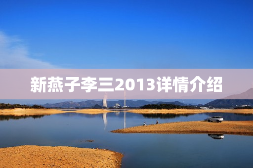 新燕子李三2013详情介绍