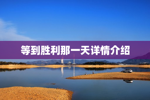 等到胜利那一天详情介绍