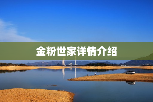 金粉世家详情介绍