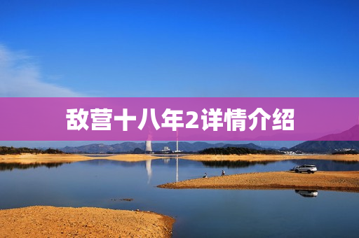 敌营十八年2详情介绍