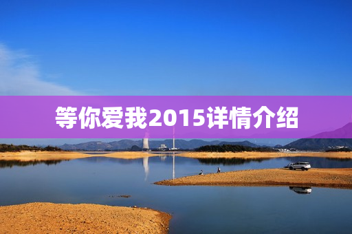 等你爱我2015详情介绍