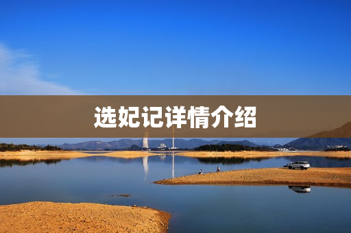 选妃记详情介绍