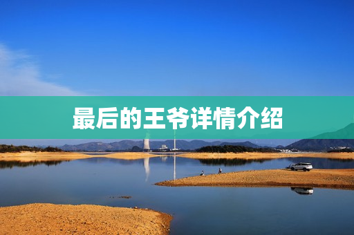 最后的王爷详情介绍