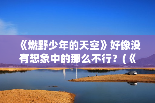 《燃野少年的天空》好像没有想象中的那么不行？(《燃野少年的天空》续集)