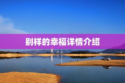 别样的幸福详情介绍