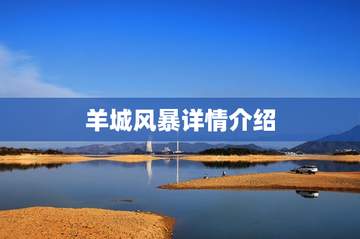 羊城风暴详情介绍