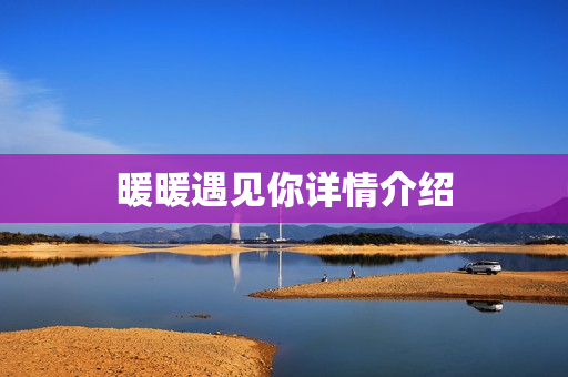 暖暖遇见你详情介绍
