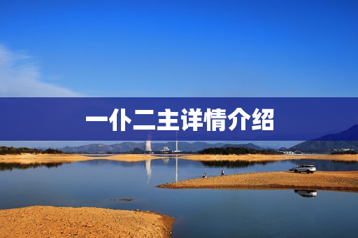 一仆二主详情介绍