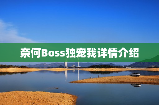 奈何Boss独宠我详情介绍