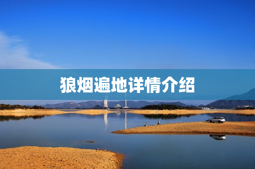 狼烟遍地详情介绍