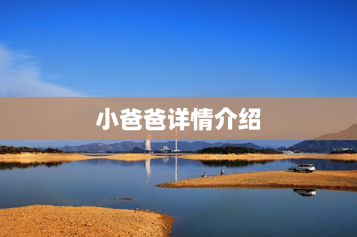 小爸爸详情介绍