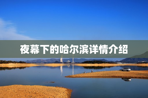 夜幕下的哈尔滨详情介绍