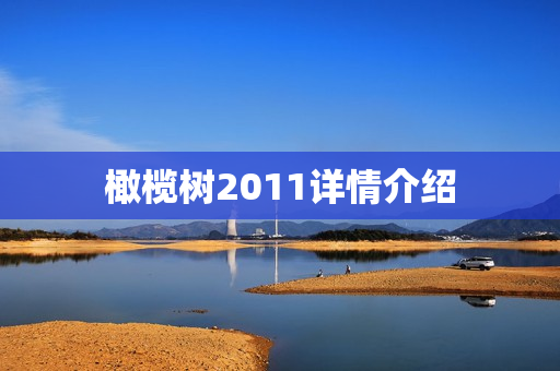 橄榄树2011详情介绍