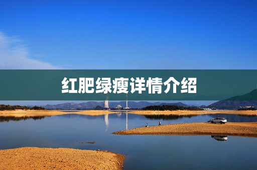 红肥绿瘦详情介绍