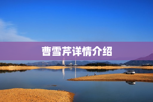 曹雪芹详情介绍