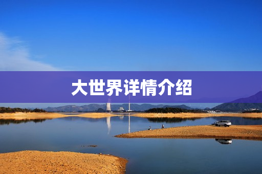 大世界详情介绍