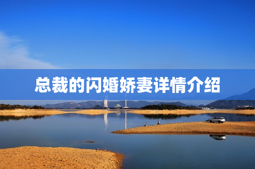 总裁的闪婚娇妻详情介绍