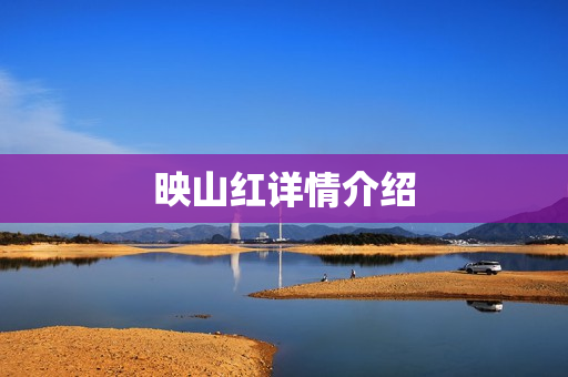 映山红详情介绍
