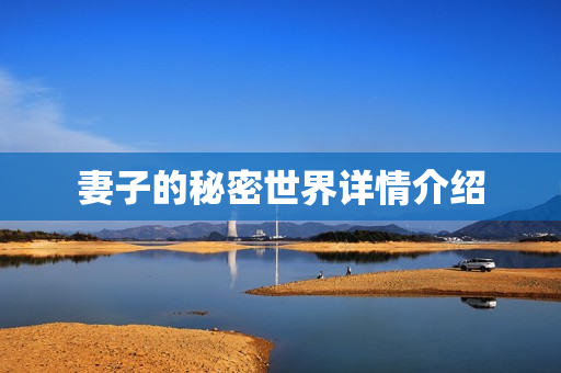 妻子的秘密世界详情介绍