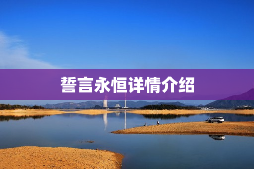 誓言永恒详情介绍