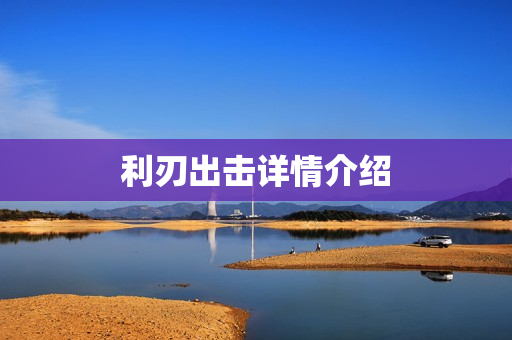 利刃出击详情介绍