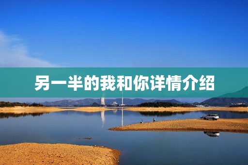 另一半的我和你详情介绍