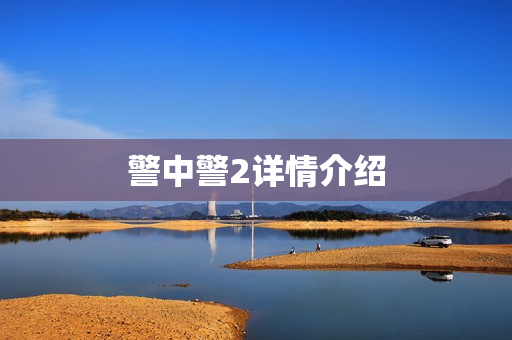 警中警2详情介绍